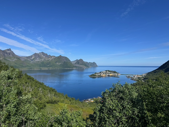 A fjord and island