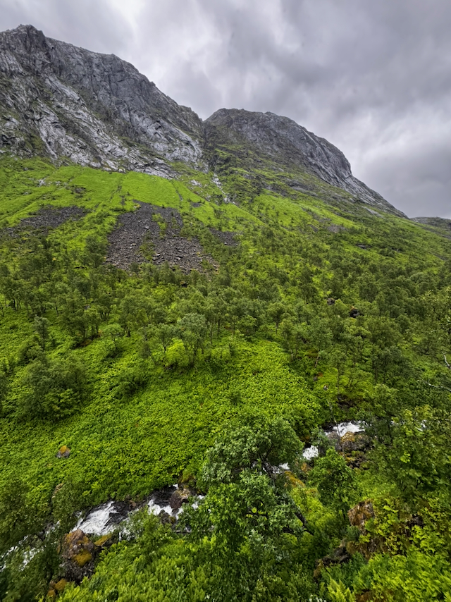 Everything is so green!