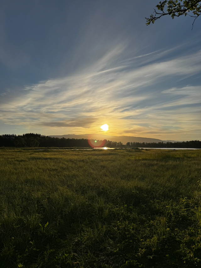 The midnight sun